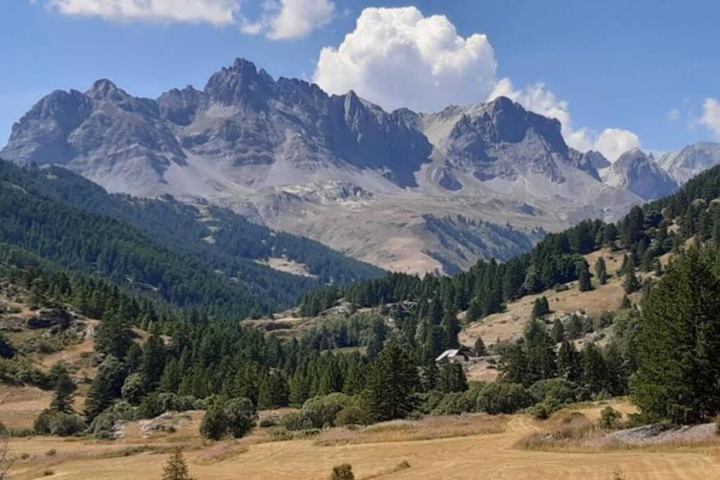 Appt A Pied Des Pistes